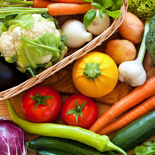  NGB For Exporting & Importing  And Shipping Services - About Us